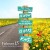 Purchase Km5 Ibiza Vol.15 CD2 Mp3