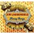 Buy Jim Lauderdale & The Dream Players 