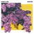 Purchase Good News Mp3