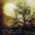 Purchase The January Tree Mp3