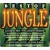 Purchase Best Of Jungle CD1 Mp3
