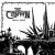 Buy Crown Of Thorns