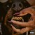 Buy Mutt Deluxe: Heel CD1