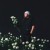 Purchase Dystopie Mp3