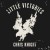Purchase Little Victories Mp3