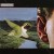 Purchase Prototype (Vinyl) Mp3