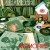 Purchase Memories Mp3