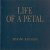 Purchase Life Of A Petal Mp3