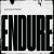 Purchase Endure Mp3