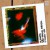 Buy Olympia São Paulo, Brazil 1992 (FRC-28) CD2