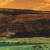 Buy Live at The Gorge 05/06 (CD5: July 22nd 2006)