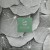 Buy Evergreen (EP)