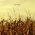 Buy Songs For An October Sky