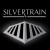 Purchase Silvertrain Mp3