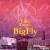 Purchase Life & Times Of Bigfly (With Fly Anakin) Mp3
