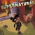 Buy Supernatural (CDS)