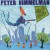 Purchase My Green Kite Mp3