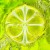 Buy Lemonade