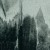 Buy Moss Cathedral