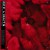 Buy Into The Night (Feat. Chris Adam Of Smash Into Pieces) (CDS)