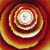 Buy Songs In The Key Of Life (Reissued 2013) CD2