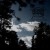 Buy Varan Tid Ar Forbi (EP)