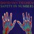 Buy Safety In Numbers (Vinyl)