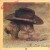 Purchase The Last Cowboy (Vinyl) Mp3