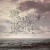 Buy In Murmuration