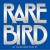 Buy Rare Bird 