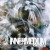 Buy Innermedium