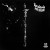 Purchase Pipe Dream (Vinyl) Mp3
