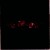 Buy Live From Neon Park - Cd 1