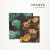 Purchase It Rains Here Mp3