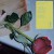 Purchase Unready To Exist Mp3