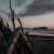 Buy Driftwood (With Human Is Alive)