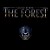 Purchase The Forest Mp3
