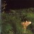 Purchase Still Life Mp3