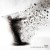 Purchase La Desintegracion Del Tiempo Mp3