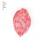 Buy Sept Cercles