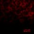 Purchase Blood (Special Edition) CD1 Mp3