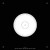 Buy Wasps (EP)
