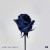Purchase Love Or Loved Pt. 2 (EP) Mp3