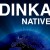 Buy Native (EP)