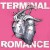 Buy Terminal Romance