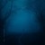 Buy Snowfall (With Reidenshi) (CDS)