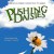 Purchase Pushing Daisies