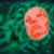 Purchase Hla-11Tf (EP) Mp3
