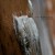 Buy Heartwood