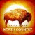 Purchase North Country Mp3
